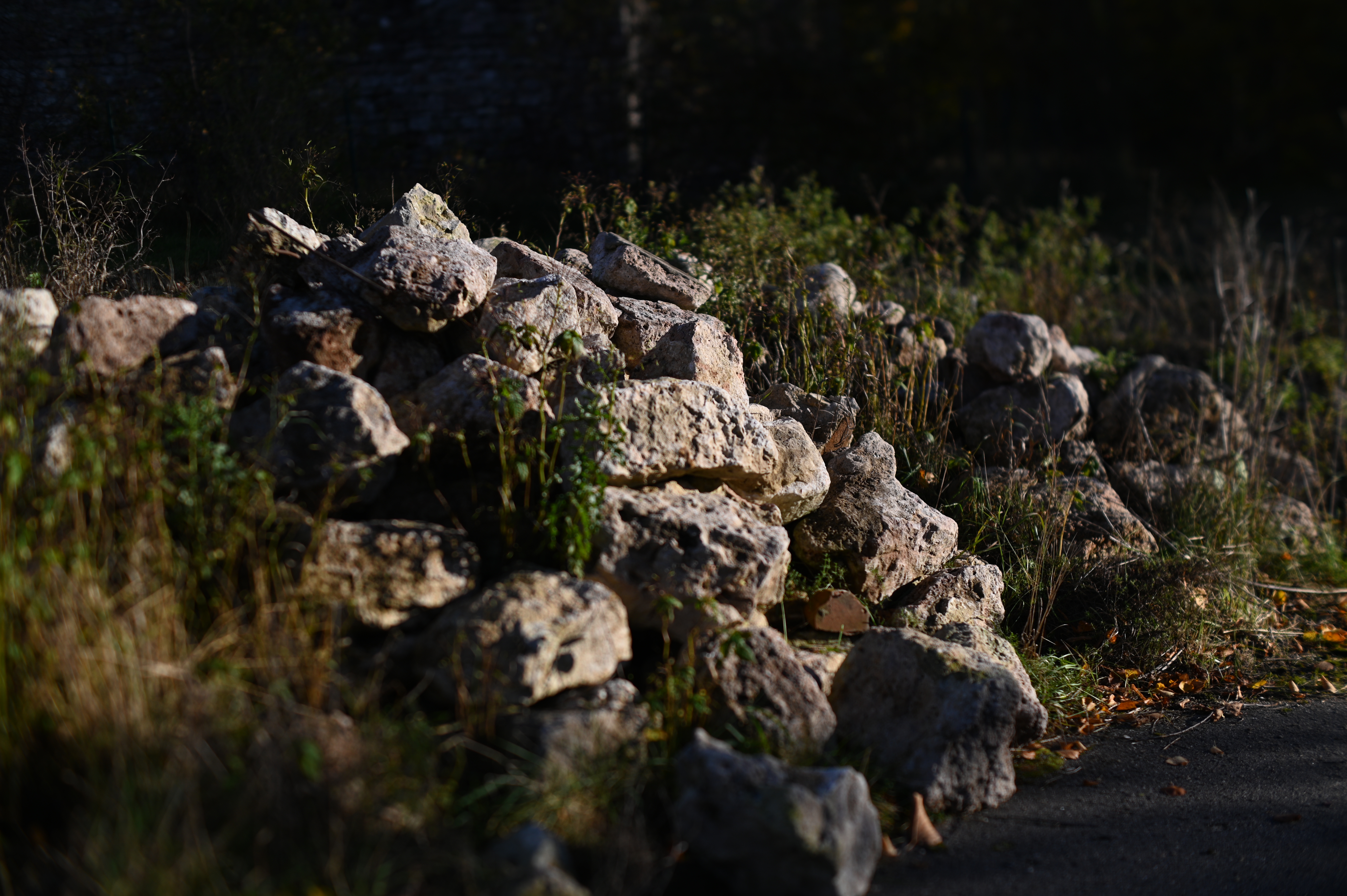 2025/10/18 - walk/DSC_0072.JPG